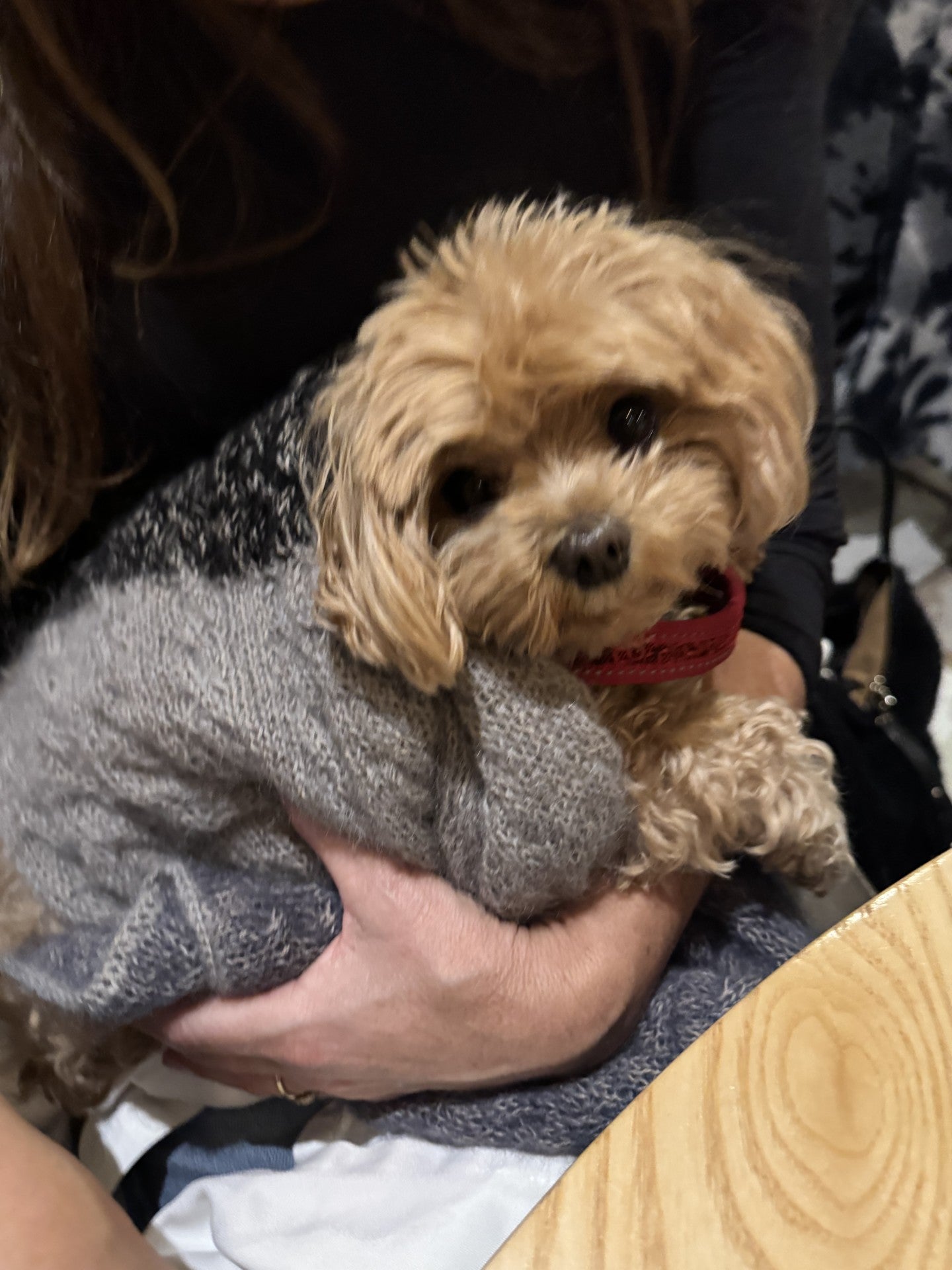 MOSTERMOSTER HALSTØRKLÆDE